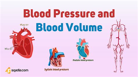 Physiology, Blood Volume .